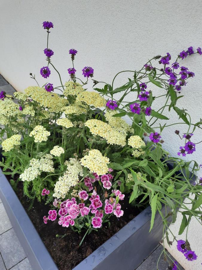 Apartments Bei Playmobil Eg,130M2,Grosse Terassen,24H Self Check-In, Free Parking Zirndorf Buitenkant foto